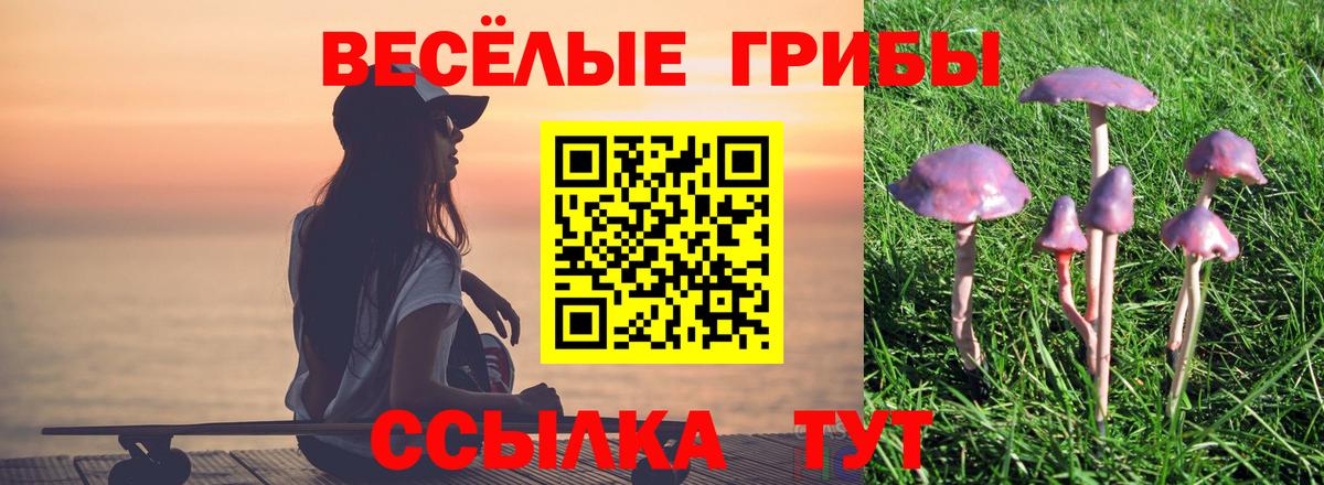 Тамбов  Галлюциногенные грибы Psilocybine cubensis  Вход с VPN 
