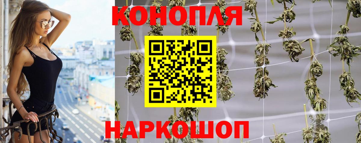 Бошки марихуана марихуана  Вход с VPN  Шишки марихуана Amnesia  Тамбов 